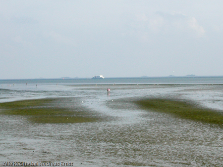 Urlaub Föhr 06