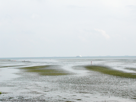Urlaub Föhr 06